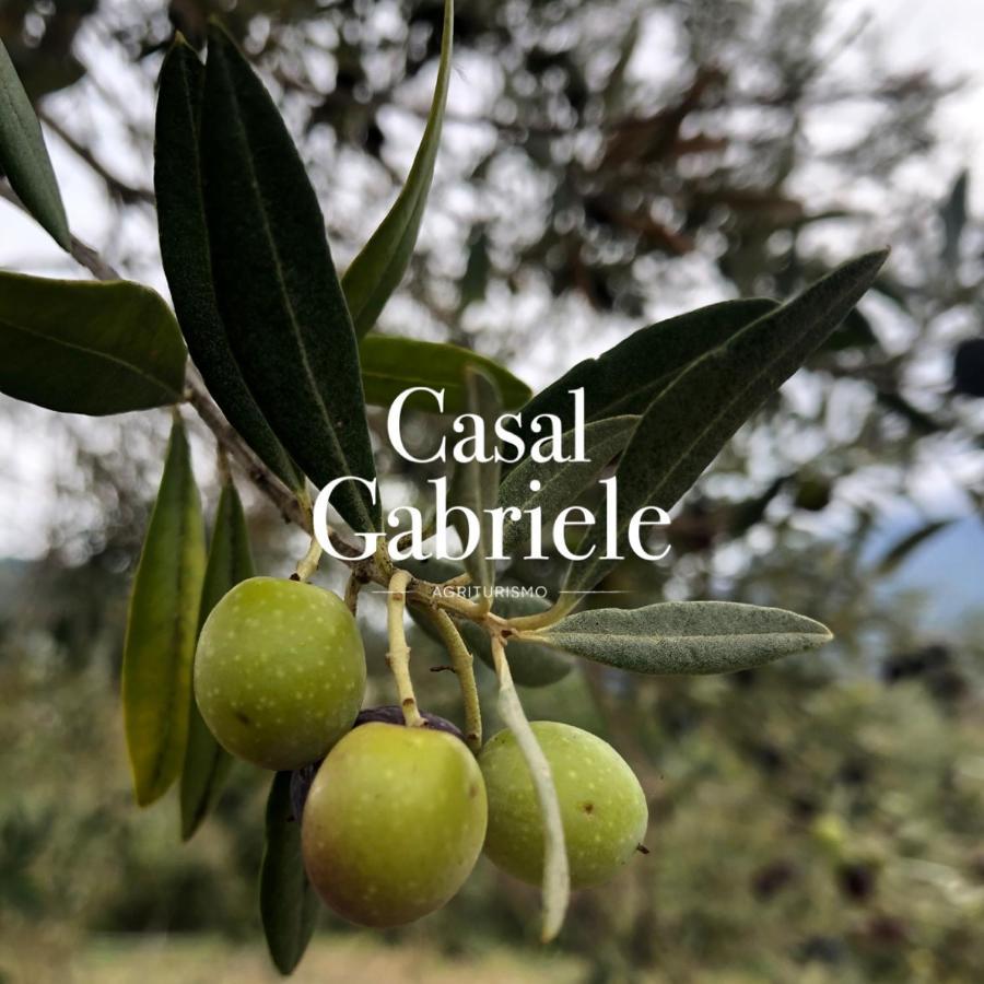 Casal Gabriele Villa Lettere Kültér fotó
